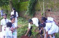 PLANTATION-DRIVE-ON-INDEPENDENCE-DAY-by-Bhubaneswar-parivar